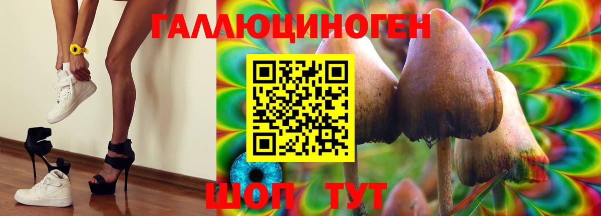 Галлюциногенные грибы Cubensis  Вход с VPN  Гулькевичи 